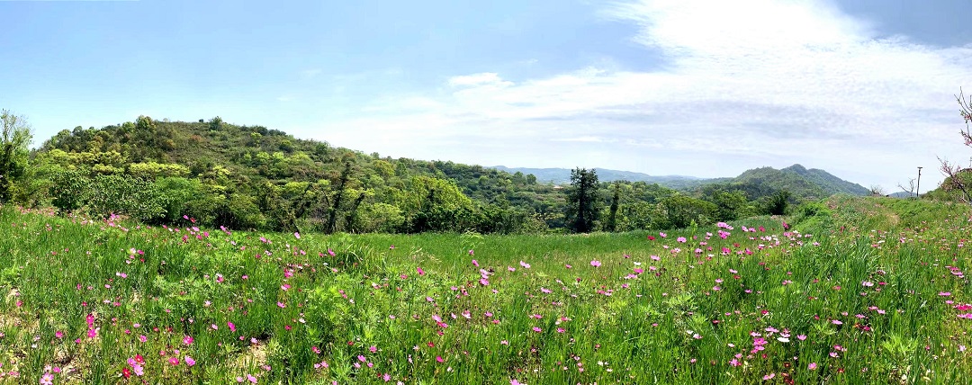 1618298347134489.jpg 微信圖片_20210412111626.jpg